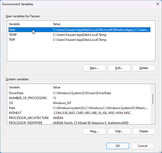 Edit path environment system variables
