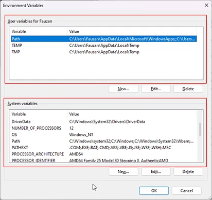 Windows 11 Environment variables
